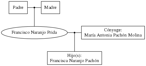 This is a graph with borders and nodes. Maybe there is an Imagemap used so the nodes may be linking to some Pages.