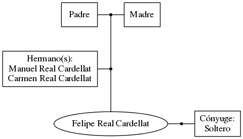 This is a graph with borders and nodes. Maybe there is an Imagemap used so the nodes may be linking to some Pages.