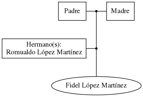 This is a graph with borders and nodes. Maybe there is an Imagemap used so the nodes may be linking to some Pages.