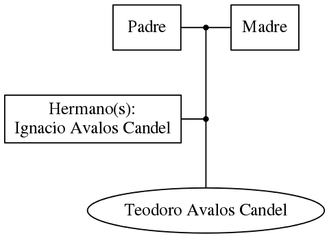 This is a graph with borders and nodes. Maybe there is an Imagemap used so the nodes may be linking to some Pages.