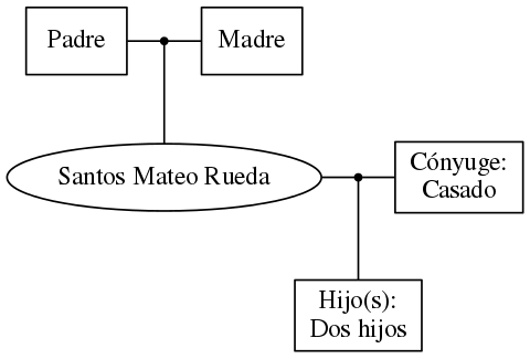 This is a graph with borders and nodes. Maybe there is an Imagemap used so the nodes may be linking to some Pages.