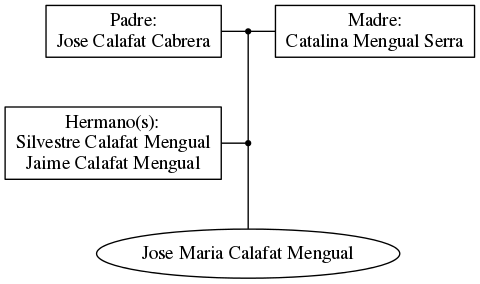 This is a graph with borders and nodes. Maybe there is an Imagemap used so the nodes may be linking to some Pages.