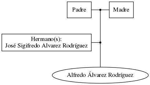 This is a graph with borders and nodes. Maybe there is an Imagemap used so the nodes may be linking to some Pages.