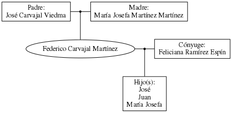 This is a graph with borders and nodes. Maybe there is an Imagemap used so the nodes may be linking to some Pages.