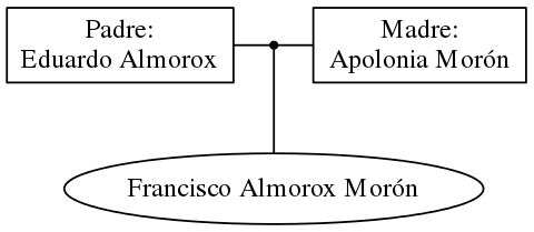 This is a graph with borders and nodes. Maybe there is an Imagemap used so the nodes may be linking to some Pages.