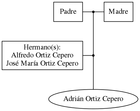 This is a graph with borders and nodes. Maybe there is an Imagemap used so the nodes may be linking to some Pages.