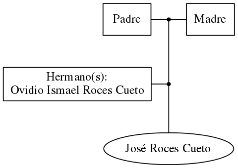 This is a graph with borders and nodes. Maybe there is an Imagemap used so the nodes may be linking to some Pages.