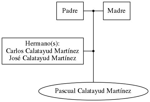 This is a graph with borders and nodes. Maybe there is an Imagemap used so the nodes may be linking to some Pages.