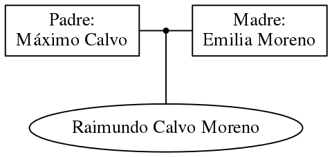 This is a graph with borders and nodes. Maybe there is an Imagemap used so the nodes may be linking to some Pages.