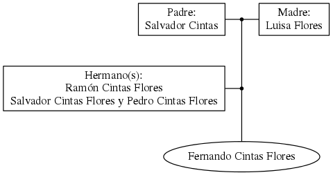 This is a graph with borders and nodes. Maybe there is an Imagemap used so the nodes may be linking to some Pages.