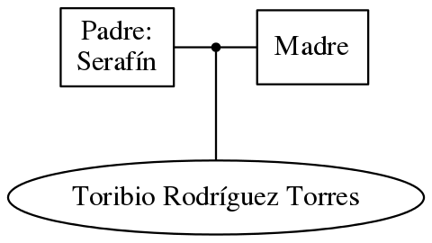 This is a graph with borders and nodes. Maybe there is an Imagemap used so the nodes may be linking to some Pages.