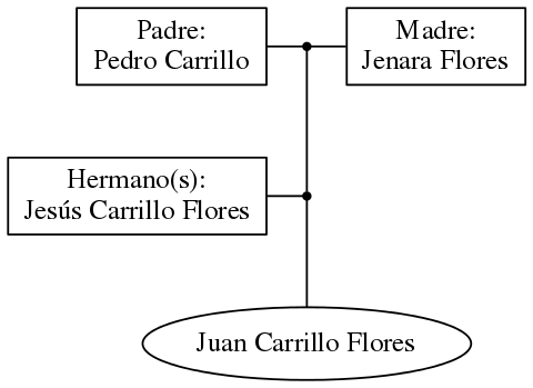 This is a graph with borders and nodes. Maybe there is an Imagemap used so the nodes may be linking to some Pages.