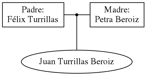 This is a graph with borders and nodes. Maybe there is an Imagemap used so the nodes may be linking to some Pages.