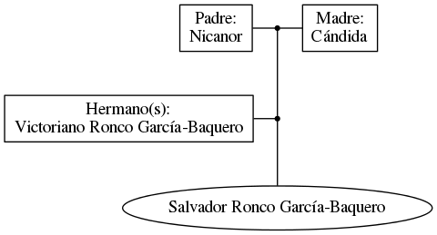 This is a graph with borders and nodes. Maybe there is an Imagemap used so the nodes may be linking to some Pages.