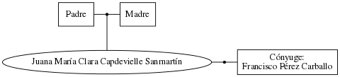 This is a graph with borders and nodes. Maybe there is an Imagemap used so the nodes may be linking to some Pages.