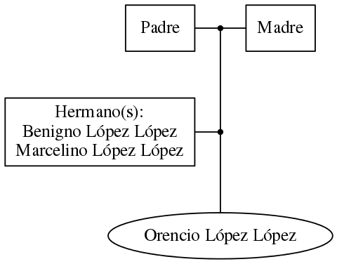 This is a graph with borders and nodes. Maybe there is an Imagemap used so the nodes may be linking to some Pages.