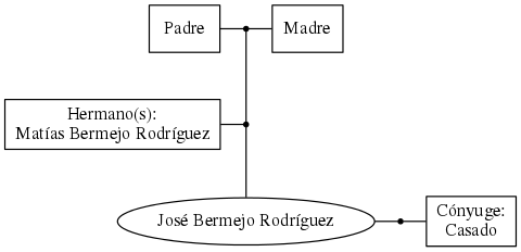 This is a graph with borders and nodes. Maybe there is an Imagemap used so the nodes may be linking to some Pages.