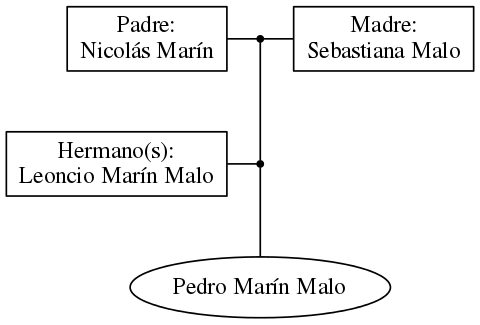 This is a graph with borders and nodes. Maybe there is an Imagemap used so the nodes may be linking to some Pages.