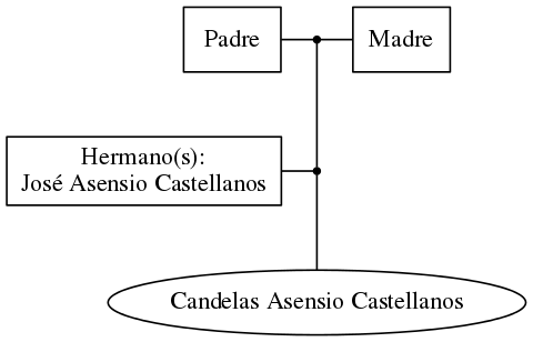 This is a graph with borders and nodes. Maybe there is an Imagemap used so the nodes may be linking to some Pages.