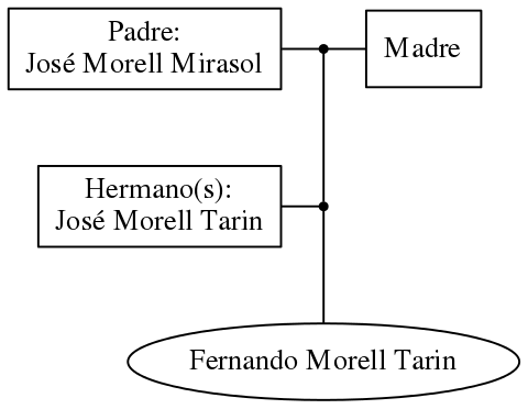 This is a graph with borders and nodes. Maybe there is an Imagemap used so the nodes may be linking to some Pages.