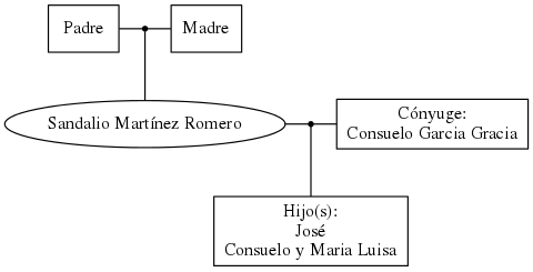 This is a graph with borders and nodes. Maybe there is an Imagemap used so the nodes may be linking to some Pages.