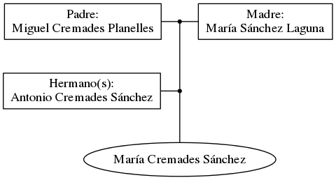 This is a graph with borders and nodes. Maybe there is an Imagemap used so the nodes may be linking to some Pages.