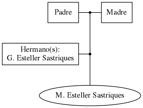 This is a graph with borders and nodes. Maybe there is an Imagemap used so the nodes may be linking to some Pages.