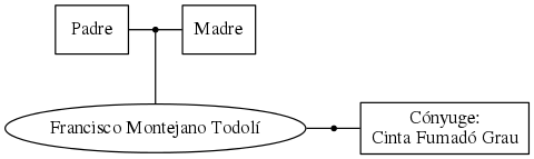 This is a graph with borders and nodes. Maybe there is an Imagemap used so the nodes may be linking to some Pages.