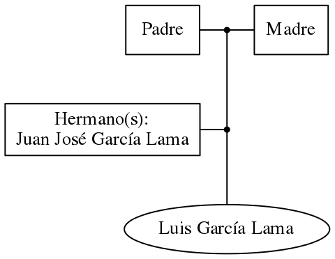 This is a graph with borders and nodes. Maybe there is an Imagemap used so the nodes may be linking to some Pages.