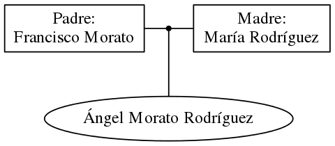 This is a graph with borders and nodes. Maybe there is an Imagemap used so the nodes may be linking to some Pages.