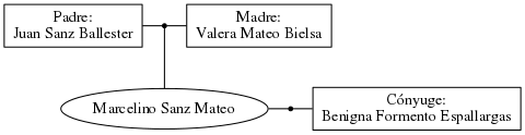 This is a graph with borders and nodes. Maybe there is an Imagemap used so the nodes may be linking to some Pages.