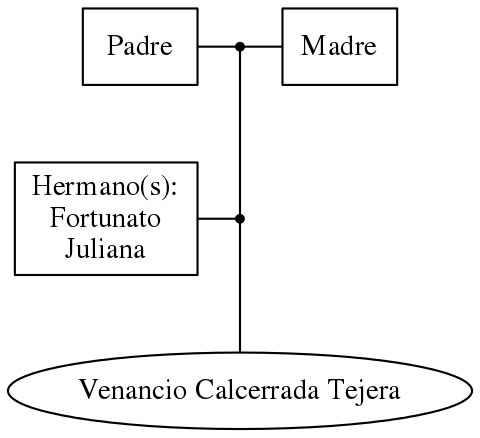 This is a graph with borders and nodes. Maybe there is an Imagemap used so the nodes may be linking to some Pages.