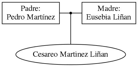 This is a graph with borders and nodes. Maybe there is an Imagemap used so the nodes may be linking to some Pages.