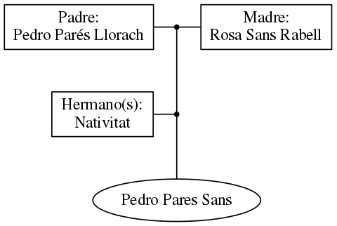 This is a graph with borders and nodes. Maybe there is an Imagemap used so the nodes may be linking to some Pages.