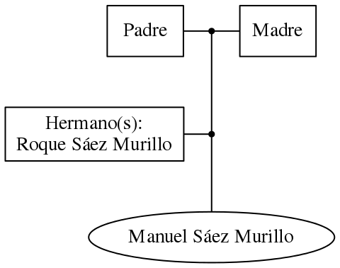 This is a graph with borders and nodes. Maybe there is an Imagemap used so the nodes may be linking to some Pages.