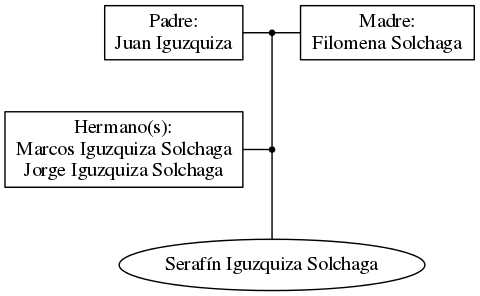 This is a graph with borders and nodes. Maybe there is an Imagemap used so the nodes may be linking to some Pages.