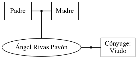 This is a graph with borders and nodes. Maybe there is an Imagemap used so the nodes may be linking to some Pages.