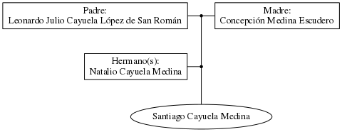 This is a graph with borders and nodes. Maybe there is an Imagemap used so the nodes may be linking to some Pages.