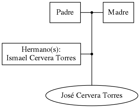 This is a graph with borders and nodes. Maybe there is an Imagemap used so the nodes may be linking to some Pages.