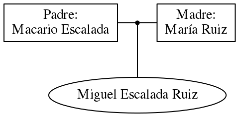 This is a graph with borders and nodes. Maybe there is an Imagemap used so the nodes may be linking to some Pages.