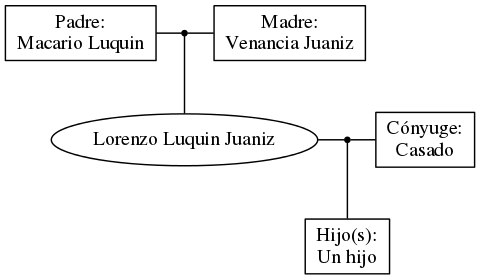 This is a graph with borders and nodes. Maybe there is an Imagemap used so the nodes may be linking to some Pages.