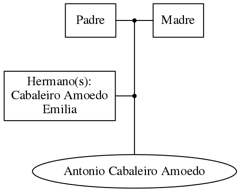 This is a graph with borders and nodes. Maybe there is an Imagemap used so the nodes may be linking to some Pages.