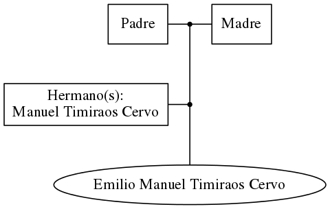 This is a graph with borders and nodes. Maybe there is an Imagemap used so the nodes may be linking to some Pages.