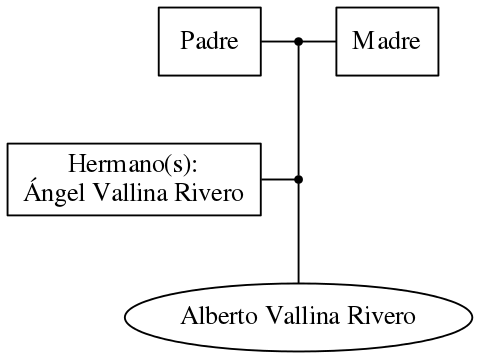 This is a graph with borders and nodes. Maybe there is an Imagemap used so the nodes may be linking to some Pages.