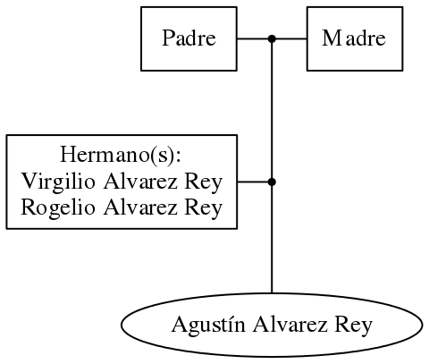 This is a graph with borders and nodes. Maybe there is an Imagemap used so the nodes may be linking to some Pages.