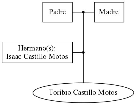 This is a graph with borders and nodes. Maybe there is an Imagemap used so the nodes may be linking to some Pages.