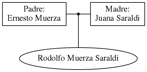 This is a graph with borders and nodes. Maybe there is an Imagemap used so the nodes may be linking to some Pages.