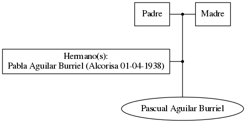 This is a graph with borders and nodes. Maybe there is an Imagemap used so the nodes may be linking to some Pages.