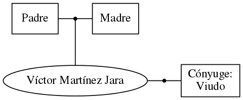 This is a graph with borders and nodes. Maybe there is an Imagemap used so the nodes may be linking to some Pages.