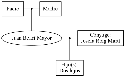 This is a graph with borders and nodes. Maybe there is an Imagemap used so the nodes may be linking to some Pages.